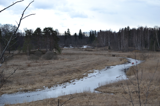 DSC_0046.JPG