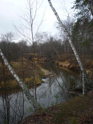 P1260172.JPG